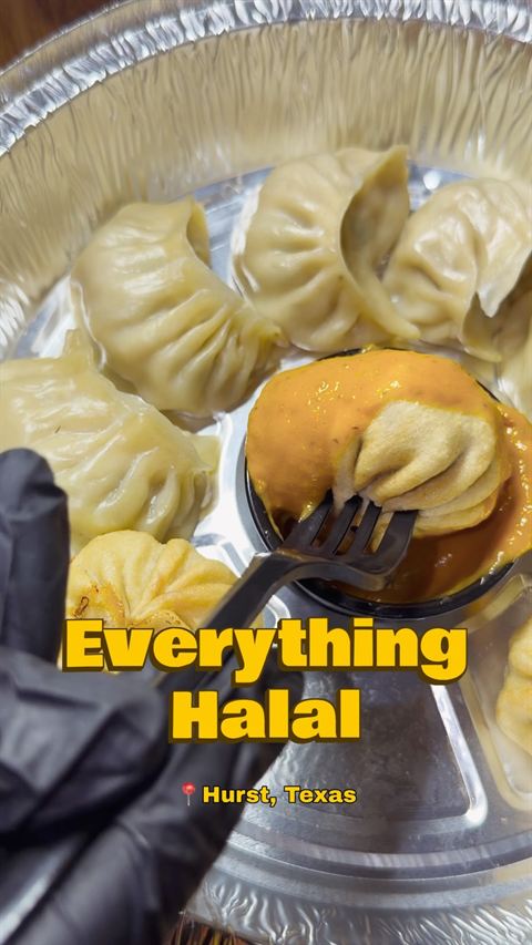 Chicken momos at Everything Halal, Hurst